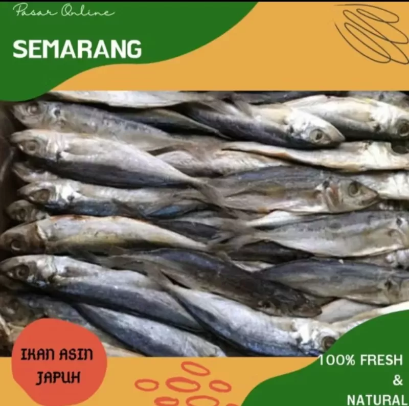 Ikan Asin Japoh